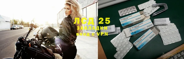 прущие грибы Покачи