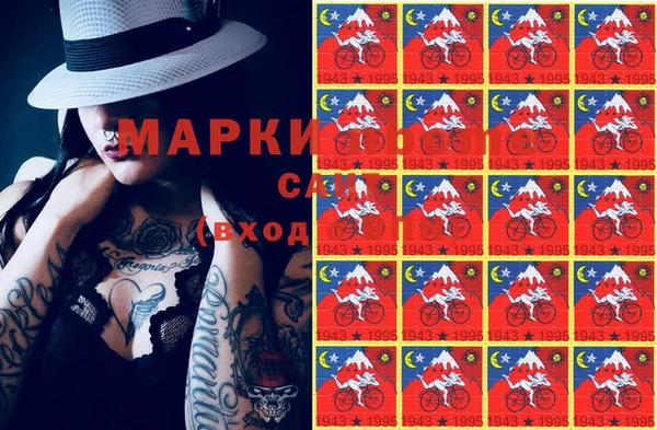 прущие грибы Покачи